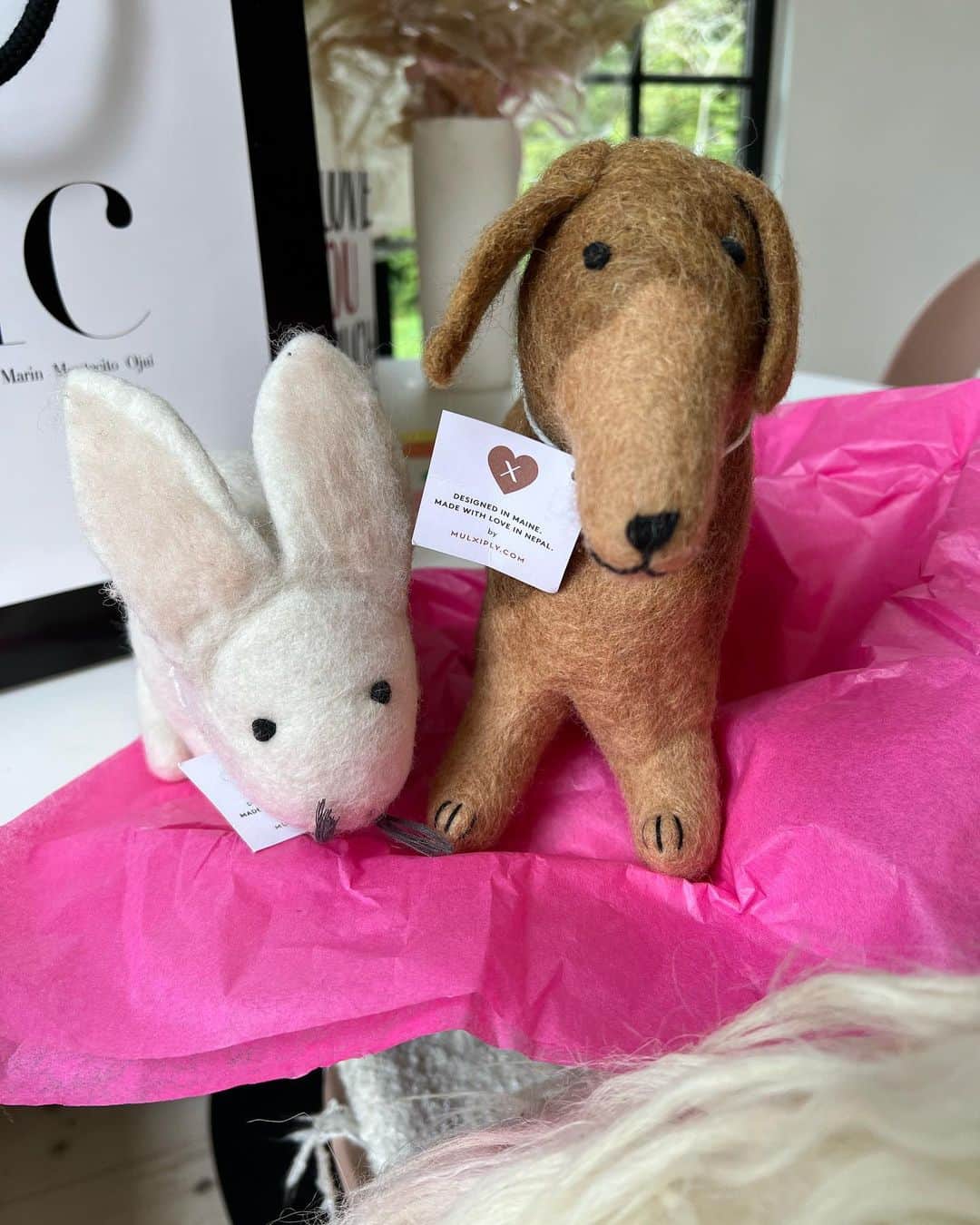 ジェニファー・エスポジートのインスタグラム：「I was asked what I wanted for my bday by jesper. I said nothing. Although a bunny and another dog would be great 😁. So he got me a bunny and another dog. I should have been more specific!  Thank you all for the outpouring of love and congratulations of what been an amazing week. Sooooo much more to come. Xoxox. Love you @jespervesterstroem」