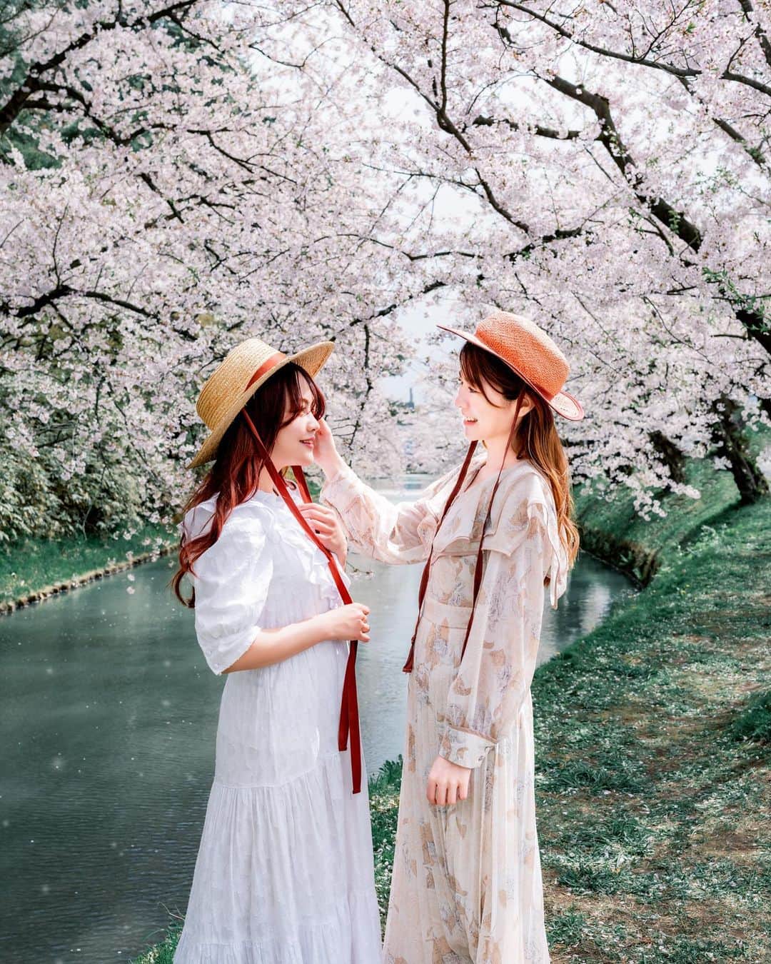 shabonのインスタグラム：「* . . . . . 弘前公園、昼間はポトレを 撮ったり🥰🌸 強風過ぎて花がどんどん 散ってしまい、夜までに 葉桜にならないか心配でした🥺 . . model : @ayaketty1685  　　　　@asami_sw  . . FUJIFILM GFX50S II /  GF45mm F2.8 R WR . . お仕事・撮影のご依頼はDMかメールに お願い致します。 . . . . . *」