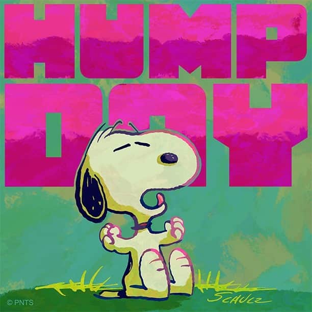 のインスタグラム：「Hump day」