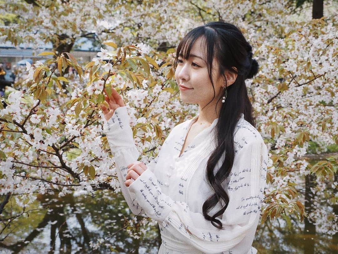 軽辺るかのインスタグラム：「ギリギリ桜が見られてよかった🌸  そしてスーパーロングな 髪の毛もあと少し…！」