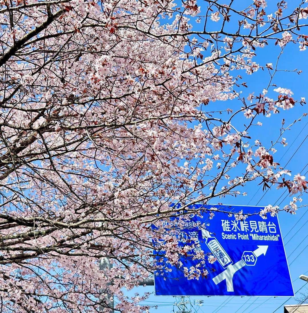 穂川果音さんのインスタグラム写真 - (穂川果音Instagram)「今週も半分お疲れ様でした😊 桜前線はすでに北海道まで上っていますが、まだ桜投稿笑 こちらは軽井沢の桜です🌸(先週の様子) 桜の種類によっては綺麗に咲いていました〜 軽井沢の定番スポット？の沢村ではカフェが新しくオープンしていました☕️ アートも楽しめる空間でゆったりできて良かったよ〜  #桜　#桜追いかけ旅 #軽井沢　#カフェ　#coffee #sakura #trip」4月20日 0時18分 - hokawakanonn