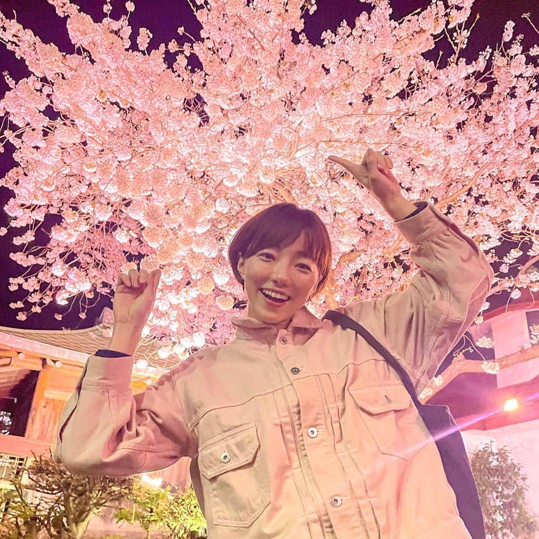 雨宮萌果のインスタグラム：「🌸🌸🌸  今、桜満開の函館だよー！  桜に縁取られた五稜郭は とっても美しく  こんな時期に 函館に来られてめっちゃラッキー！  もちろん、ここぞとばかりに 詰め込んで食べましたー笑  ラッキーピエロの チャイニーズチキンとシェイク  函館塩ラーメン・あじさい本店  活ヤリイカ&ニシン刺し  あと、カスベの煮付けっていう 北海道のエイみたいな魚も 美味しかった。  めっちゃ焼酎に合う！  まだまだ沢山食道楽したけど それはストーリーに載せます笑  短い時間の函館観光だったけど 大大大満喫でした🌸✨  イェイ🙌  #函館　#五稜郭 #五稜郭タワー　#桜 #北海道グルメ #ラッキーピエロ  #函館麺厨房あじさい」