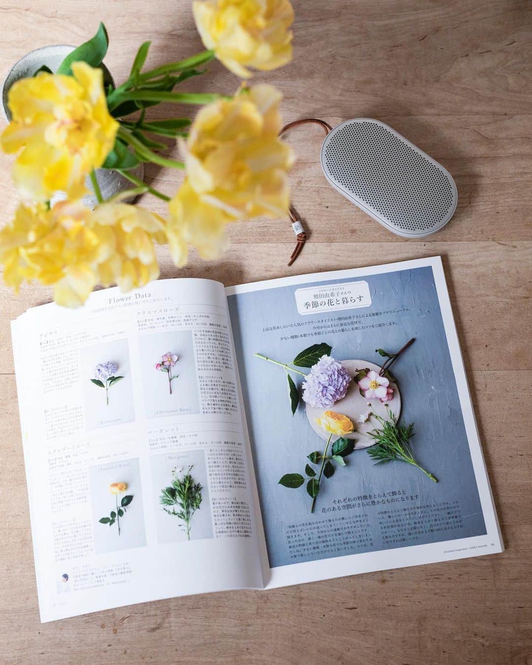 のインスタグラム：「My work🌼 #mywork #styling #flowerstyling #magazineshooting  ＜掲載誌のお知らせ＞ 『ナチュリラ』最新号にて、 連載「季節の花と暮らす」を担当しています。(全4ページ)  今号では、クリスマスローズ、マーガレット、バラ、紫陽花を取り上げ、それぞれの花の特徴と扱い方、身近な器に飾って楽しむアイデアをご紹介しています。 書店でお見かけの際には、手にとっていただけたら嬉しいです。  ナチュリラ 2023 春夏号（発売中） @kurashi_to_oshare」