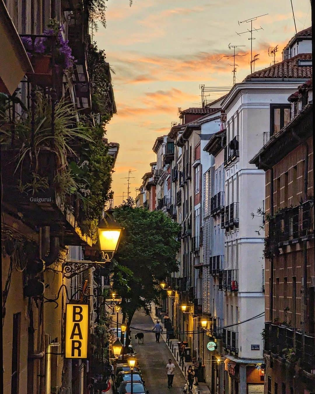 Guido Gutiérrez Ruizさんのインスタグラム写真 - (Guido Gutiérrez RuizInstagram)「Un oasis llamado Madrid • An oasis called #Madrid #Guigurui」4月20日 5時06分 - guigurui