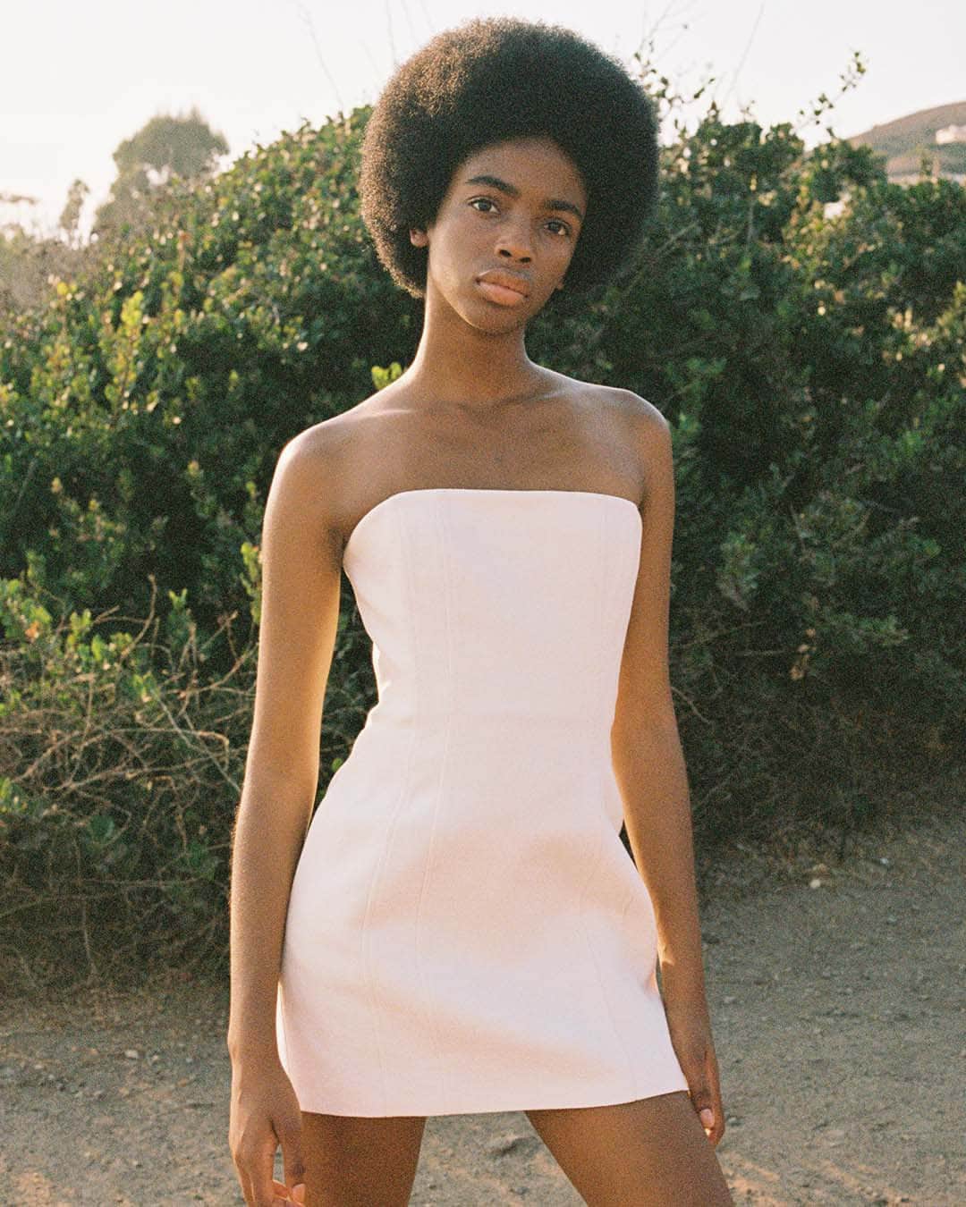 エーエルシーのインスタグラム：「The strapless stunner. Say hello to the Elsie.」