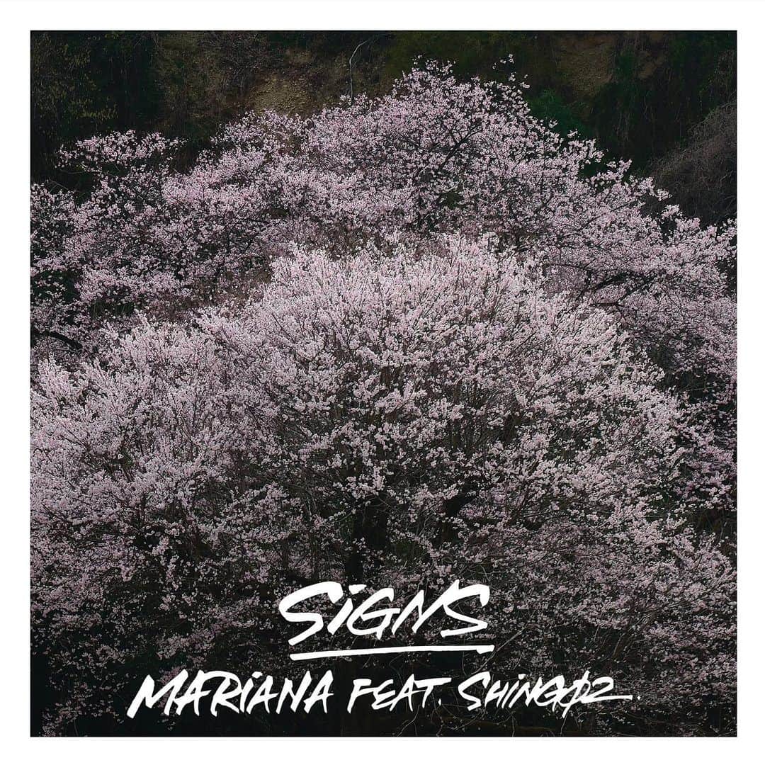 Shing02のインスタグラム：「"Signs" @marianamatsui_ feat. Shing02 streaming now🎵 vinyl coming soon? 🤝 @iwairenato @citybossa @akirasun5」