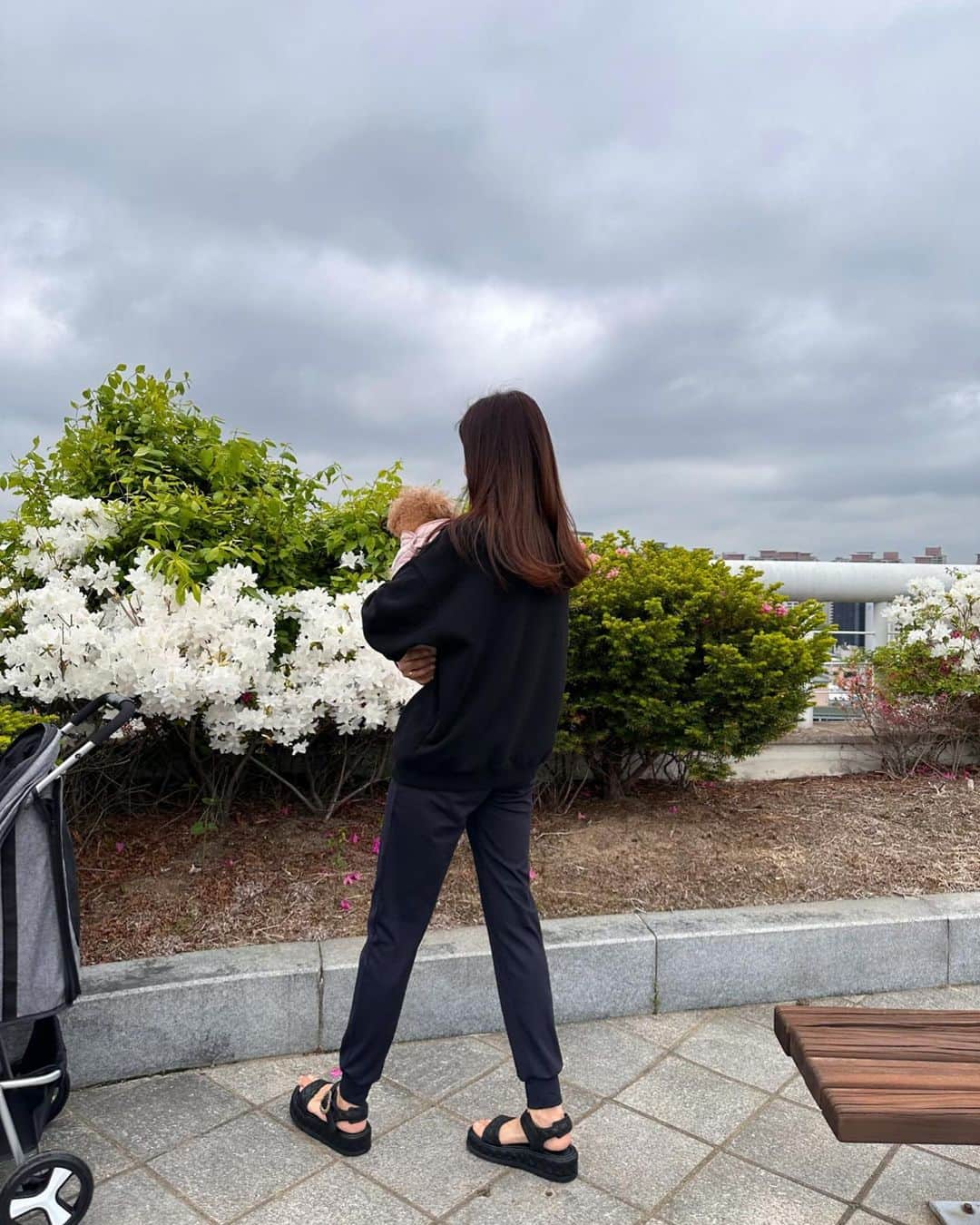 パク・ソルミのインスタグラム：「🌿 우리 도토리..」