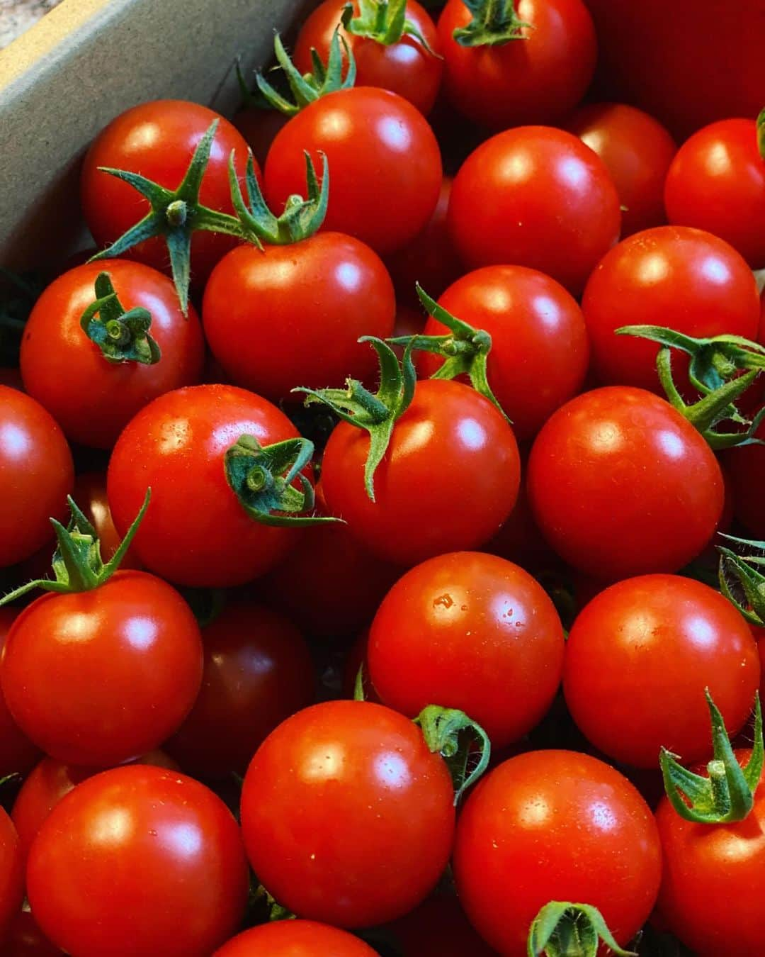 生野陽子のインスタグラム：「🍅 瑞々しく新鮮なミニトマトが届きました☺︎ ミニトマトでも水分補給！！  #佐賀県産」