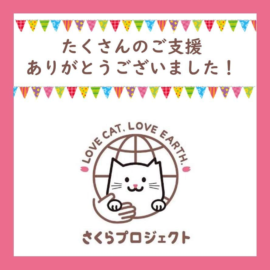 ライオン商事株式会社のインスタグラム：「＼たくさんのご支援ありがとうございました🎉／  1月23日よりプロジェクトを開始した 🌸LOVE CAT,LOVE EARTH,さくらプロジェクト🌸  この度、たくさんの方々のご支援のお陰で、クラウドファンディング期間を無事に終えることができました！ たくさんの応援・ご協力をいただき、誠にありがとうございました😸✨ ────────────────────────── 支援総額：2,005,000円 支援者数：212人 ──────────────────────────  私たちの想いに共感してくださった方からたくさんの温かい応援メッセージを頂き、 さくらプロジェクトメンバー一同、感謝の気持ちでいっぱいです。 なお、さくらプロジェクトでのご支援は、手数料をのぞくすべての金額を、今後のさらなる譲渡支援活動に充てさせていただきます🙇‍💓  『猫の殺処分を減らし、猫と新しい飼い主さんとの未来を咲かせる』さくらプロジェクト🌸 このさくらプロジェクトはまだスタート地点に立ったばかりです。 1頭でも多くの猫ちゃんが、大好きな飼い主さんと暮らすことのできる未来を咲かせると同時に、 1人でも多くの人が猫と暮らす幸せを感じる未来を咲かせることができるよう、これからも活動の輪を広げていきます。 今後ともさくらプロジェクトをどうぞよろしくお願いいたします🌸😸  #さくらプロジェクト  #クラウドファンディング  #猫 #ねこ #ねこすたぐらむ #ネコ #ふわもこ部 #にゃんすたぐらむ #ねこ部 #保護猫 #保護猫と暮らす #保護猫出身 #にゃんこ #猫好きさんと繋がりたい #ねこのいる生活 #子猫 #ねこのきもち #ねこのいる暮らし #猫写真 #ごめん寝 #lionpet #lionpetうちのにゃんこ  #readyfor」