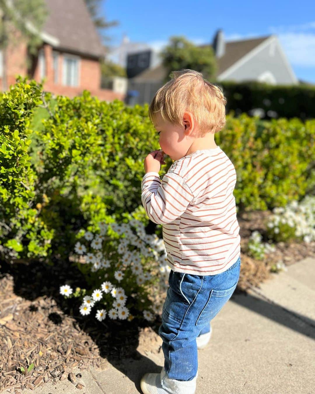 ケイトリン・カーターさんのインスタグラム写真 - (ケイトリン・カーターInstagram)「exploring the new neighborhood 🌼 kids are the best reminder to stop and smell the flowers」4月20日 15時52分 - kaitlynn
