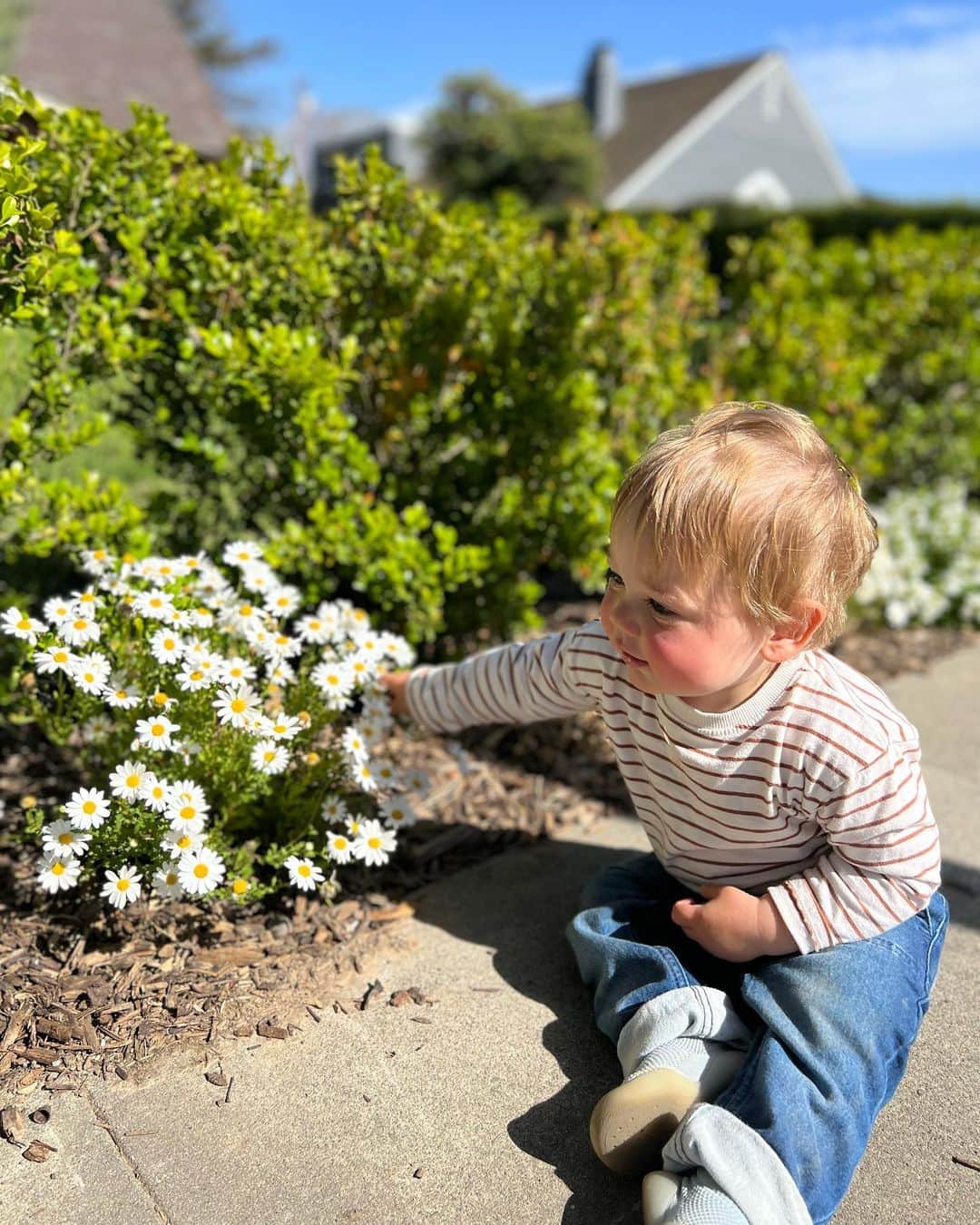 ケイトリン・カーターさんのインスタグラム写真 - (ケイトリン・カーターInstagram)「exploring the new neighborhood 🌼 kids are the best reminder to stop and smell the flowers」4月20日 15時52分 - kaitlynn