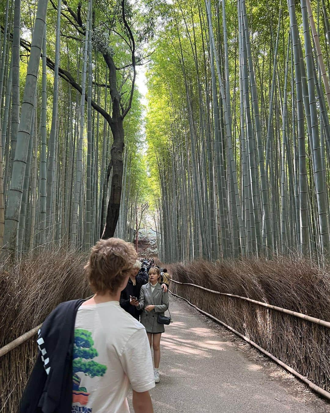 マット・ボマーさんのインスタグラム写真 - (マット・ボマーInstagram)「Japan - I ❤️You. 🇯🇵🌸」4月20日 7時57分 - mattbomer