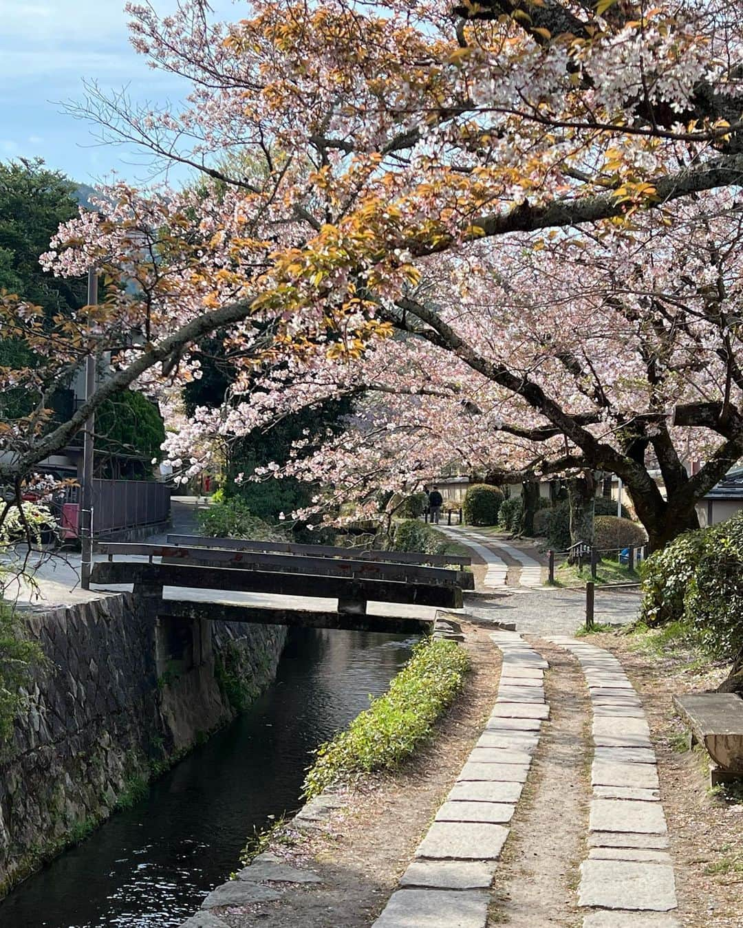 マット・ボマーさんのインスタグラム写真 - (マット・ボマーInstagram)「Japan - I ❤️You. 🇯🇵🌸」4月20日 7時57分 - mattbomer