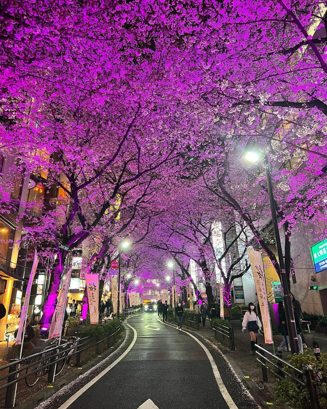 マット・ボマーさんのインスタグラム写真 - (マット・ボマーInstagram)「Japan - I ❤️You. 🇯🇵🌸」4月20日 7時57分 - mattbomer