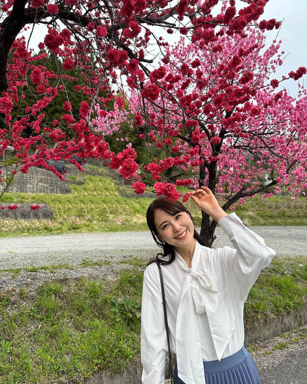 りーまるさんのインスタグラム写真 - (りーまるInstagram)「リポーターの日🎤🎥 ▶︎▶︎▶︎ おはようございます🙋‍♀️✨  写真は長野県🌸  桜と花桃が同時に咲くのは異例だそうで、 見れて嬉しかったです🥰✨  村が一面ピンクで見応えありました♡ ・ ---------------------------------------- 【4,5月の仕事依頼お待ちしてます📷】 @riii_maru162cm  DMにて詳細よろしくお願いします。 動画、スチール実績は プロフィールよりご確認ください💐 ----------------------------------------------- ・  ・ ・ #グルメリポーター#食リポ#フリーランスタレント#フリーアナウンサーモデル#グルメリポート #旅好き女子#旅レポ#観光協会#旅行冊子#旅館好きな人と繋がりたい #温泉リポート#タレントモデル#モデルタレント#フリーアナウンサー#女性モデル#東京モデル#30代モデル#フリーランスモデル東京#東京タレント#MCリポーター#タレントモデル#温泉女子#観光協会#りーまる」4月20日 8時10分 - riii_maru162cm