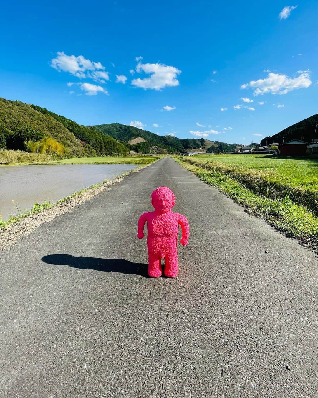 デハラユキノリのインスタグラム：「道端」