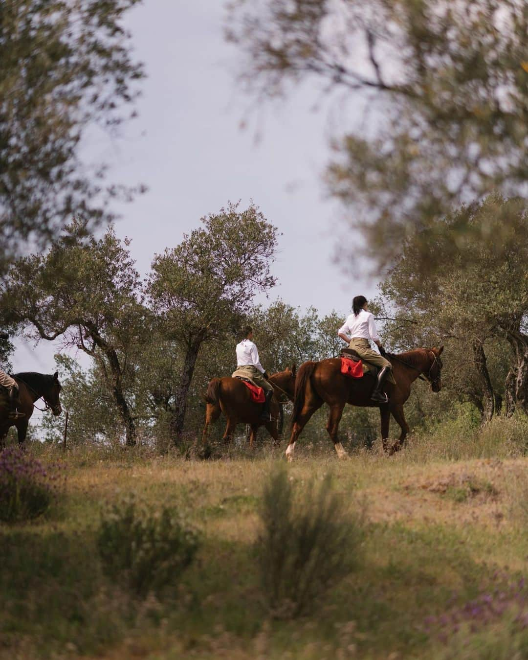 クリスティー・ターリントンさんのインスタグラム写真 - (クリスティー・ターリントンInstagram)「Thank you @carolinaherrera for the dreamiest of days riding through beautiful Andalucia with my daughter on horseback. I’m so grateful for the memories, some of them captured here…❤️」4月20日 8時31分 - cturlington