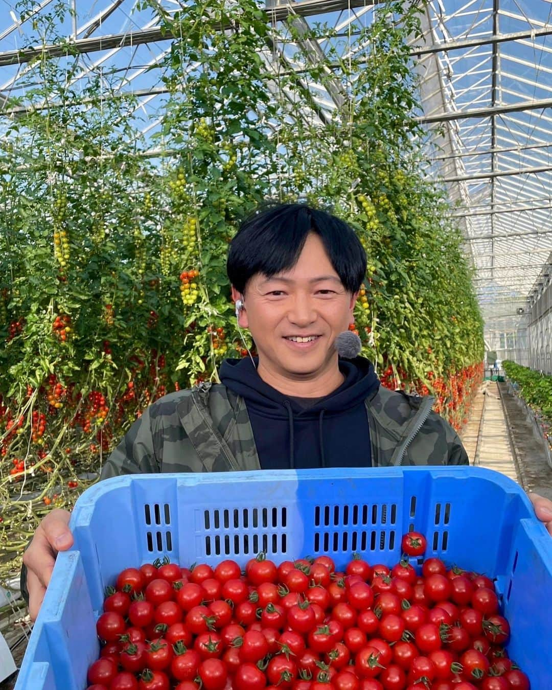 依田司さんのインスタグラム写真 - (依田司Instagram)「4月20日（木） 神奈川県藤沢市にある『井出トマト農園』から。 トマトといえば夏野菜のイメージが強いですが、一番美味しいのは春。 本来トマトは高温多湿に弱く、冷涼で強い日差しを好むため、この時期、日光をたくさん浴び、比較的乾燥した気候の中で 糖度をあげ、栄養価も高くなります。 コチラの農園では１６品種のトマトを栽培しており、トマト狩りを楽しむことができます。おすすめは、オリジナル品種のハニードロップ。トマト狩りに来る皆さんも、あまりの美味しさに手が止まらなくなるそうです。加工品も充実しており、どれも試してみたくなるものばかりです。  #井出トマト農園 #AIGLE #エーグル #依田さん #依田司 #お天気検定 #テレビ朝日 #グッドモーニング #気象予報士 #お天気キャスター #森林インストラクター #グリーンセイバーアドバンス #プロジェクトワイルド #IPCC伝導者 #japan #japantrip #japantravel #unknownjapan #japanAdvenそture #japanlife #lifeinjapan #instagramjapan #instajapan #療癒 #ilovejapan #weather #weathercaster #weatherforecast」4月20日 9時16分 - tsukasa_yoda