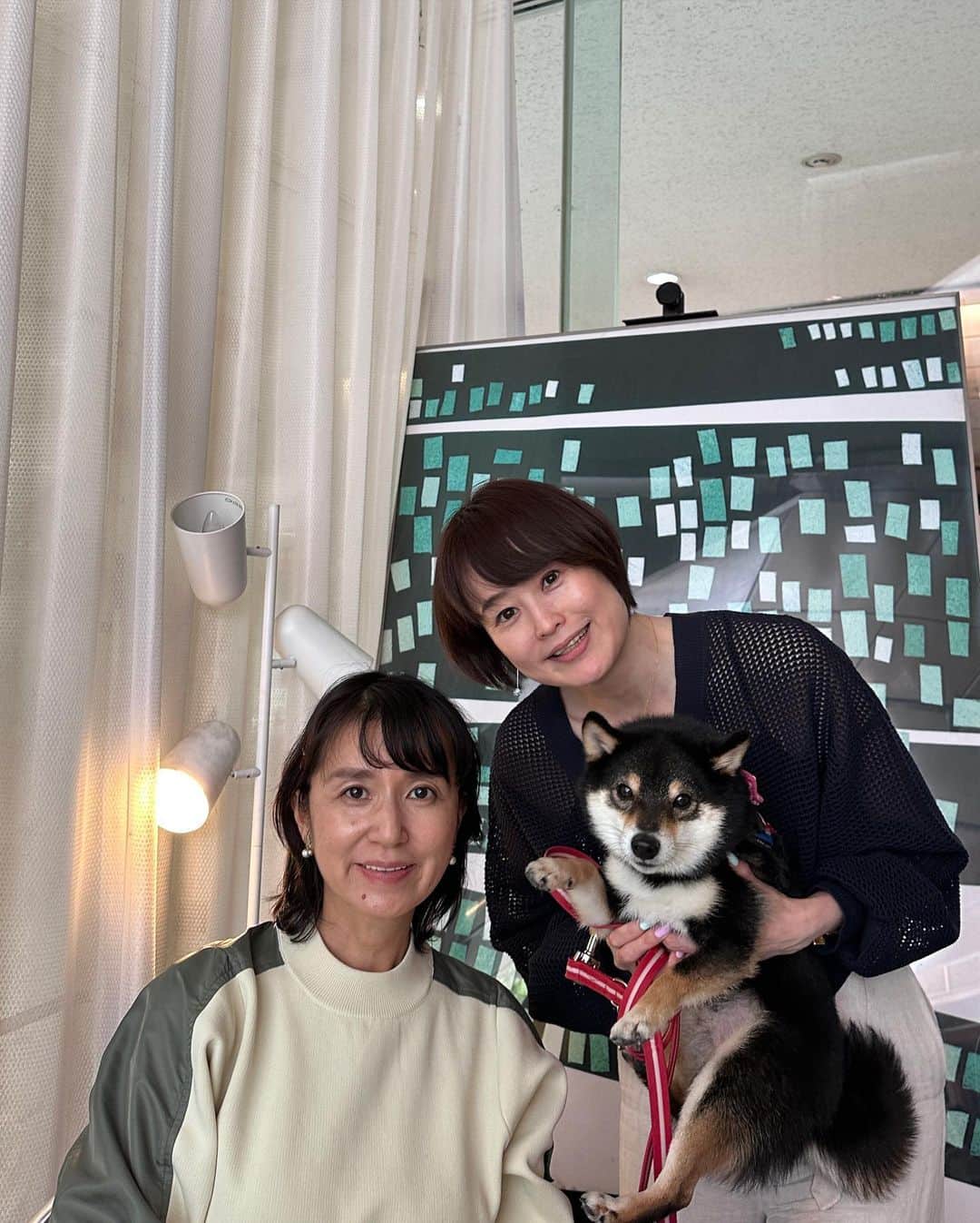 岩瀬玲のインスタグラム：「久しぶりに ちかさんと会えた🥰  相変わらずめちゃめちゃ小顔で 細くて羨ましい😍😍  仕事ができて 思いやりがあって 憧れの女性の1人❤️  今回は99%わんこの話😂 わたしより親バカな人がいてよかったー😂😂  わんこの話は尽きないなー サブもちかさんが好きらしく めちゃめちゃ甘えてました❤️  #犬にはわかる #再会 #ランチ #青山」