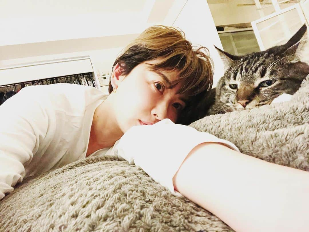 鈴木砂羽さんのインスタグラム写真 - (鈴木砂羽Instagram)「ずっと地方にロケに 行っていたので猫不足です😹  実家に預けてずいぶん 経ちました。 来月は会えるかなぁん。。🐈‍⬛🐈  思いっきり 猫を吸いたひ、、、😹❣️😭  #ねこすたぐらむ #猫 #マンチカン長足 #靴下猫 #姉弟猫 #メルハチ #黒猫部  #メルシィ　さん🐈‍⬛ #キジトラ男子 #ハチ　くん🐈 #猫と自撮りスリーショットはむずい #猫吸い」4月20日 9時38分 - bombon_sawa