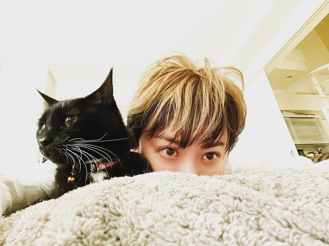 鈴木砂羽さんのインスタグラム写真 - (鈴木砂羽Instagram)「ずっと地方にロケに 行っていたので猫不足です😹  実家に預けてずいぶん 経ちました。 来月は会えるかなぁん。。🐈‍⬛🐈  思いっきり 猫を吸いたひ、、、😹❣️😭  #ねこすたぐらむ #猫 #マンチカン長足 #靴下猫 #姉弟猫 #メルハチ #黒猫部  #メルシィ　さん🐈‍⬛ #キジトラ男子 #ハチ　くん🐈 #猫と自撮りスリーショットはむずい #猫吸い」4月20日 9時38分 - bombon_sawa