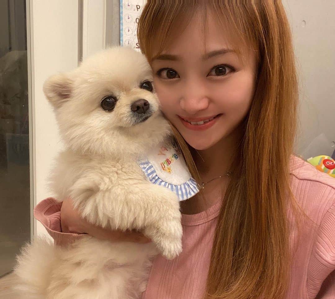 葵ゆりかのインスタグラム：「愛するおもち🐶❤️ 6歳になりました🎂✨  人間年齢で考えると、ついに抜かされてしまった…🥲 愛犬の誕生日はおめでたいけど切ない気持ちになる🥹  限られた時間を、できるだけ一緒に過ごしたいな🐶💕  抱っこするとあったかくてもふもふでふわふわで お目目くりくりで  どこでもついてくるおもち🐶❤️  生まれてきてくれてありがとう🙏💕  #birthday #birthdaycake #愛犬　#おもち　#pomeranian #ポメラニアン　#白ポメ　#ポメ　#わんこ　#犬　#dog #dogstagram #inustagram #わんこ部　#犬バカ部 #誕生日　#6歳　#ふわふわ　#もこもこ」