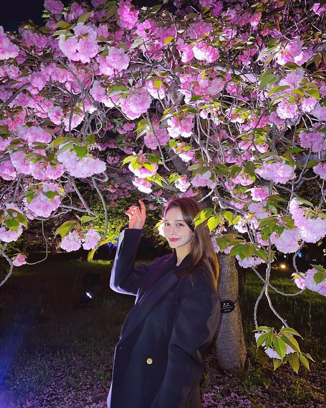 野崎萌香のインスタグラム：「Kyoto Night🌙🌸🍃  久しぶりに美味しいイタリアン食べました🍝🇮🇹 @fudo_kyoto」