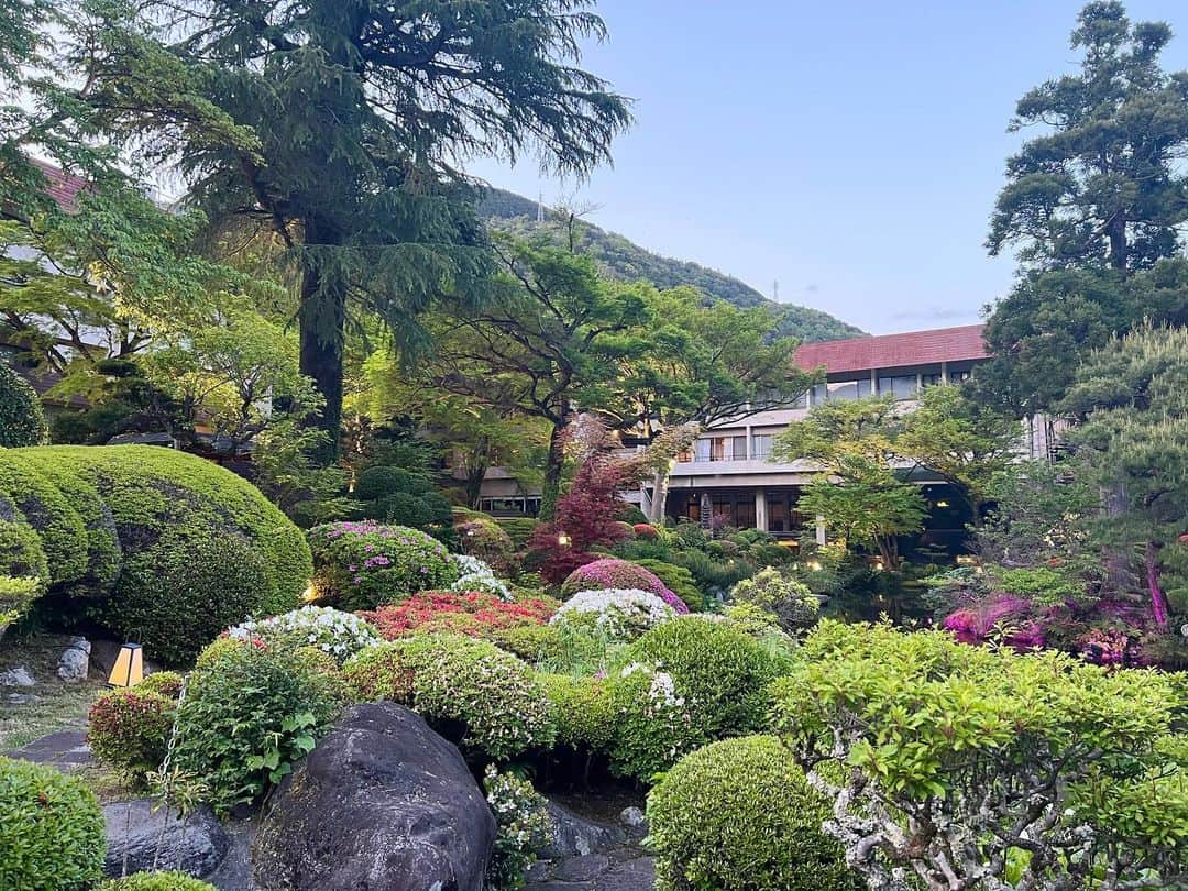 金田久美子さんのインスタグラム写真 - (金田久美子Instagram)「箱根に行ってきましたよ♪ 黒たまご食べたら寿命が7年延びるんだって笑。 旅館の部屋から見える庭園がすごく綺麗でした。 #大涌谷黒たまご  #富士山 #mtfuji  #箱根 #新緑の季節」4月20日 10時30分 - kumiko_kaneda