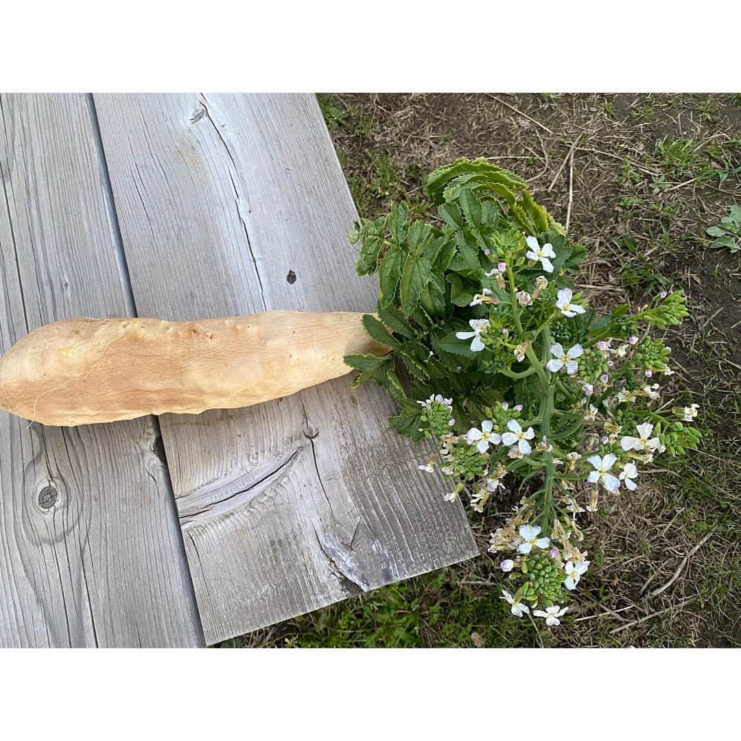 Sunshine Juiceのグルメインスタ