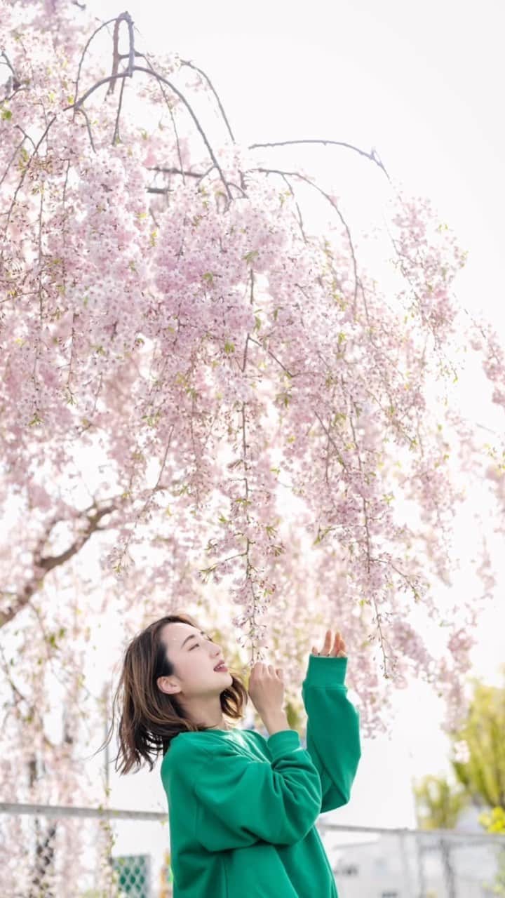 及川真珠のインスタグラム：「📸  載せ直すかもしれないけど🫰  #撮影会 #個人撮影会 #ポートレートモデル #仙台モデル #仙台撮影会」