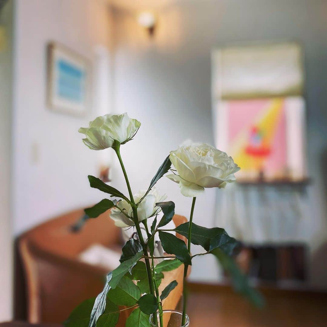 のインスタグラム：「だいすきなfamily いつもありがとう🫶  #myfamily  #myhome」
