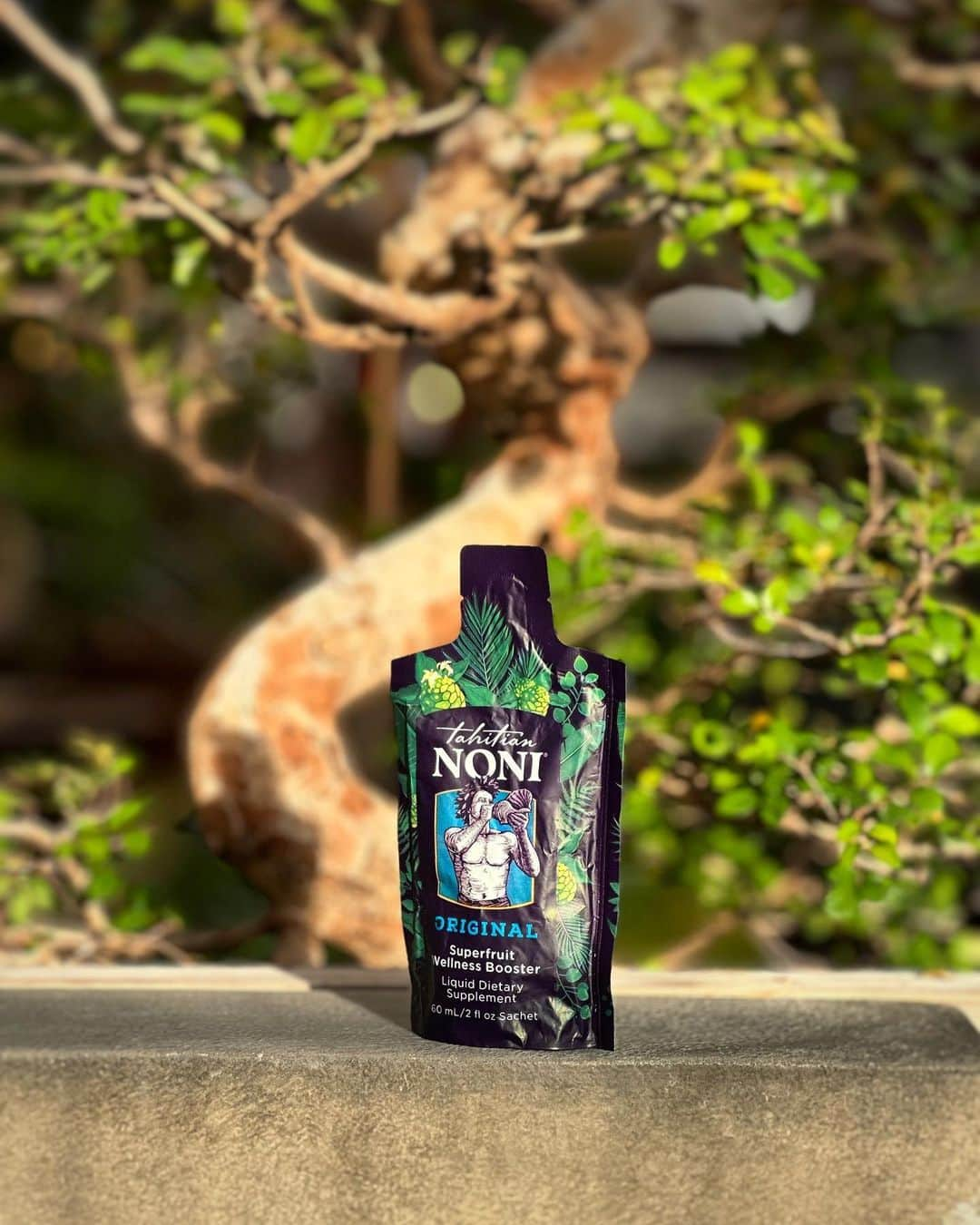 ARIIX Officialさんのインスタグラム写真 - (ARIIX OfficialInstagram)「You don't have to be in paradise to experience it. ⁠ ⁠ Power your paradise with Tahitian Noni ORIGINAL pouches — the daily nutritional supplement that goes wherever you do. ⁠ ⁠ Check out all this BEST-SELLER has to offer at the link in our bio.⁠ ⁠ #PartnerCo #TahitianNoni #Noni #Paradise #Nutrition」4月20日 11時15分 - partnercoglobal