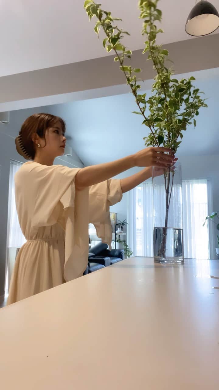 畠中清羅 のインスタグラム：「_  娘と息子を園に連れて行き 書類など整理してたらあっという間の午後🌿  お花屋さんに立ち寄ったら 可愛い枝物を見つけたので我が家に連れて帰りました♡  さて今日も頑張りましょ🧘💕  #マイホーム#リビング#観葉植物#お花のある暮らし#丁寧な暮らし」
