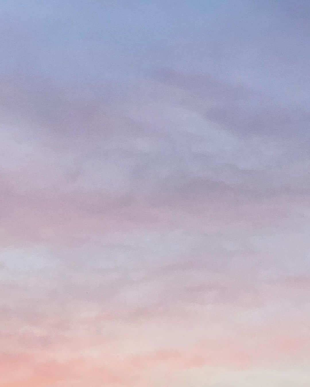 佐藤千亜妃さんのインスタグラム写真 - (佐藤千亜妃Instagram)「DAYS🌿桜から若葉の季節へ。最近すっかり暖かくなったね〜🚶‍♂️  アルバム絶賛制作中です！  #若葉 #日常」4月20日 12時07分 - chiaki_sato0920