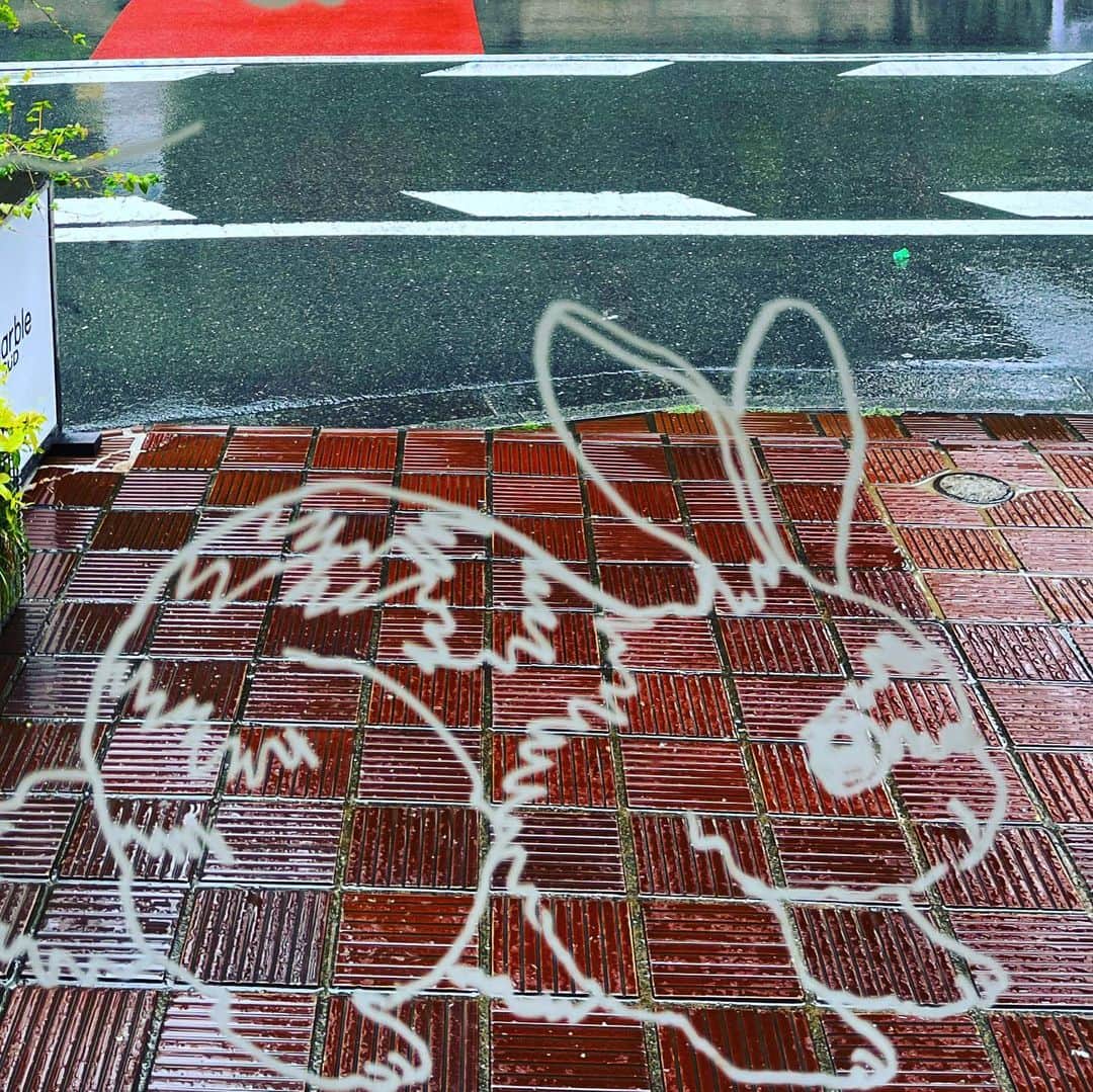 藤田朋子さんのインスタグラム写真 - (藤田朋子Instagram)「ウサギとか 犬とか お店に隠れてる  #marbleSUD恵比寿 #髪飾り #セルロイド #ワンコ #猫もいるよ、」4月20日 12時45分 - chiendormant