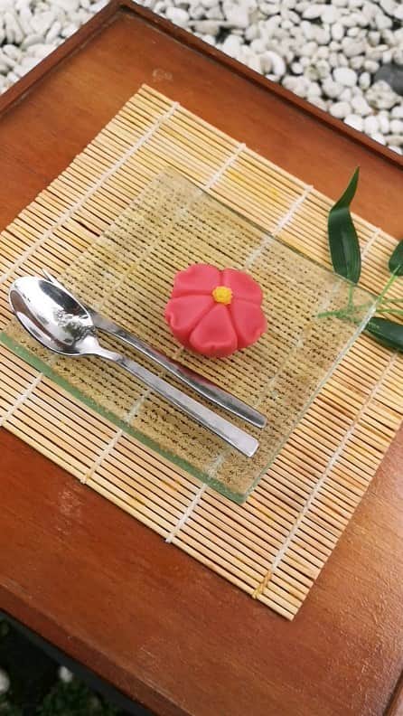 toiro_wagashiのインスタグラム：「The Beautiful life 🌷 The Cherry blossom are blooming at once and falling at once. It's style is similar to our life. Only @toiro_wagashi Open Monday-Saturday 9am-17pm  #toirowagashi #toirowagashibali #wagashi #japanesewagashi #japaneseconfectionery #matcha #mochi #wagashilover #dessert #dessertjepang #foodstagram #dessertunik #kulinerjepangbali #healthyfood #healthydessert #wagashidesign #kulinerbali #foodphotography #instafood #reelsinstagram #canggu」