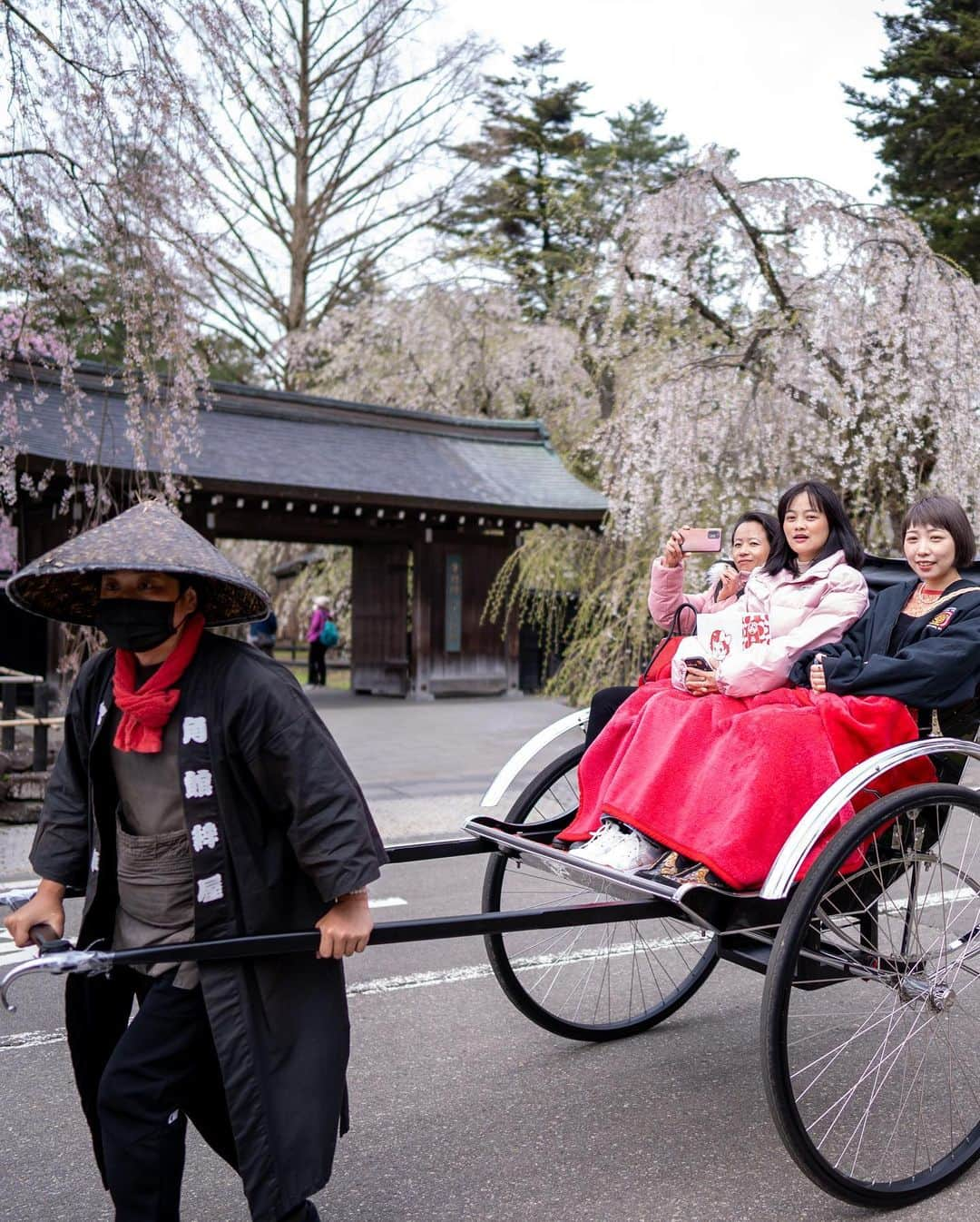 山人さんのインスタグラム写真 - (山人Instagram)「今日は角館武家屋敷の写真です✨ 4月18日撮影でした〜 人力車もオススメです！ 山人スタッフは3名15分コースで4,000円でした💡 撮影者は走ってください🏃‍♂️  #秋田県 #前向きに #山人 #yamado #桜 #北上展勝地 #さくら100選 #四季 #春 #spring #かたくり #かたくり群生地 #宝 #自然  #盛岡市 #お花見 #東北の桜 #角館 #武家屋敷 #角館武家屋敷 #宣伝 ↓通販サイトはこちら↓ https://shop.yamado.co.jp/  #鍋#お取り寄せ#お取り寄せグルメ#おうちで鍋#stayhome#おうち時間#おうちごはん」4月20日 13時35分 - yamado.official