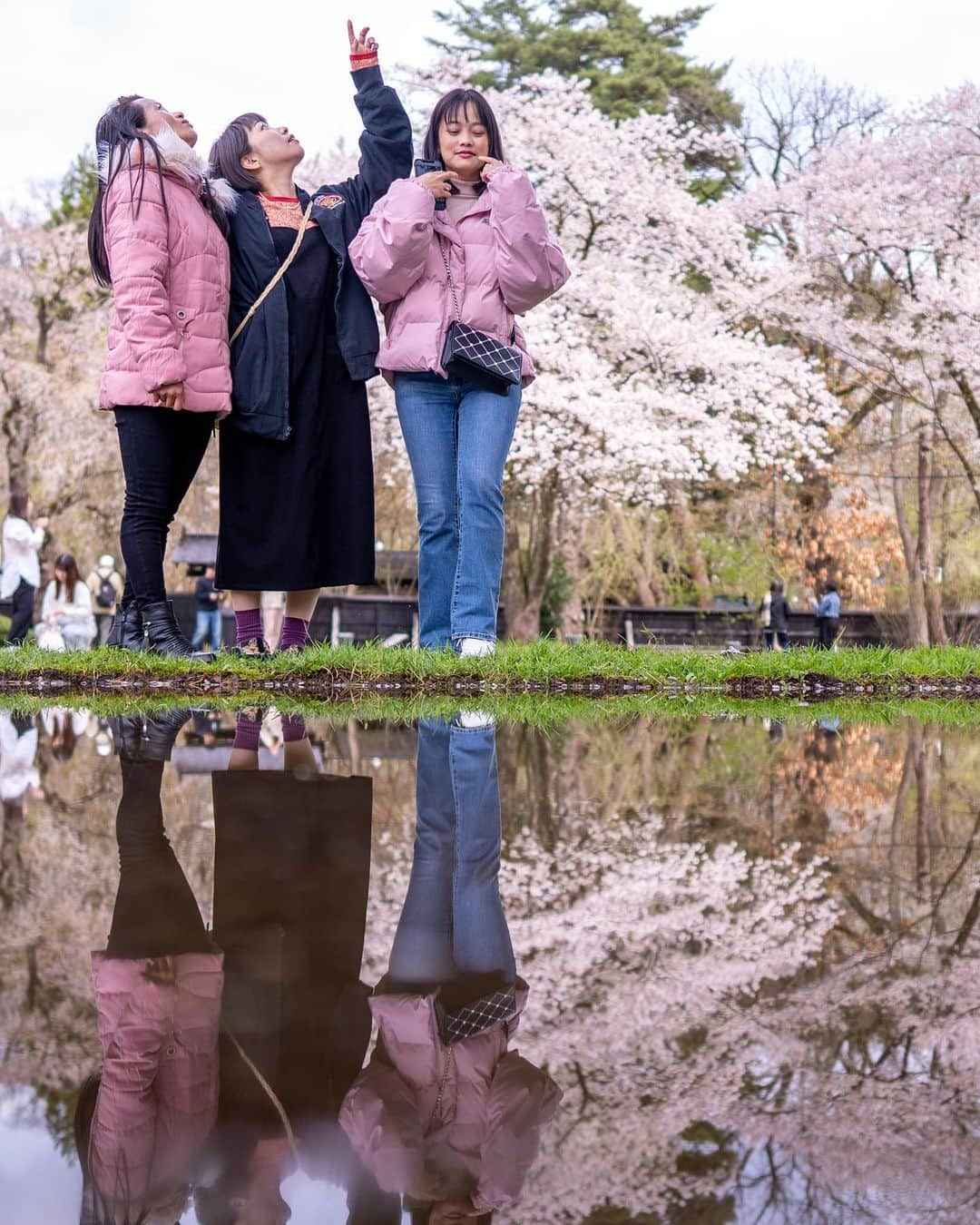 山人さんのインスタグラム写真 - (山人Instagram)「今日は角館武家屋敷の写真です✨ 4月18日撮影でした〜 人力車もオススメです！ 山人スタッフは3名15分コースで4,000円でした💡 撮影者は走ってください🏃‍♂️  #秋田県 #前向きに #山人 #yamado #桜 #北上展勝地 #さくら100選 #四季 #春 #spring #かたくり #かたくり群生地 #宝 #自然  #盛岡市 #お花見 #東北の桜 #角館 #武家屋敷 #角館武家屋敷 #宣伝 ↓通販サイトはこちら↓ https://shop.yamado.co.jp/  #鍋#お取り寄せ#お取り寄せグルメ#おうちで鍋#stayhome#おうち時間#おうちごはん」4月20日 13時35分 - yamado.official