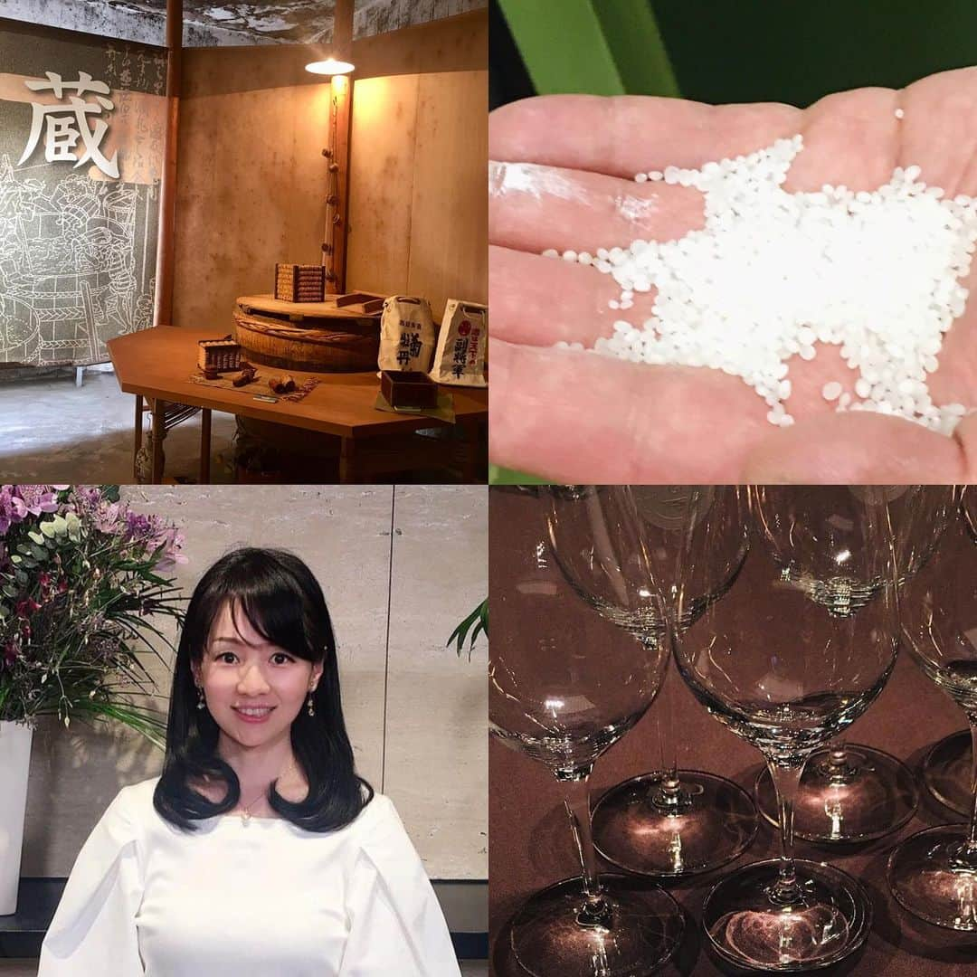 近藤淳子さんのインスタグラム写真 - (近藤淳子Instagram)「初夏7月に【SAKE EXPERT®取得セミナー東京】で講師をさせていただきます。  「日本酒の基礎やつくり方」、蔵取材で得た実践編「日本酒の今」、「科学的根拠のあるペアリング」など幅広くお届けします。  日本酒を飲むだけではなく学んでみたい、時代に合わせて日本酒の学び直しをしたい、仕事として国内外に日本酒を伝導したい…などご興味のある方は、サケ・エキスパートを目指しませんか？  現在、国内外で飲食店、ソムリエ、フリーランスなど、様々な職業の方々がサケ・エキスパートとして活躍されています。世界中に仲間が増えていくのも嬉しいです。  ●2023年7月5日(水)9:00-13:00 ●2023年7月6日(木)9:00-13:00 (8時間途中休憩有)  ご興味ある方へ✨詳細はこちらです。  https://www.j-sake.biz/post/sake-expert-%E5%8F%96%E5%BE%97%E3%82%BB%E3%83%9F%E3%83%8A%E3%83%BC-%E6%9D%B1%E4%BA%AC%E3%83%BB%E7%AC%AC13%E6%9C%9F  #國酒から国際酒へ  #日本酒🍶  #サケエキスパート  #ジャパンサケアソシエーション #sake #saké #sakelover」4月20日 13時57分 - kondo_junko_