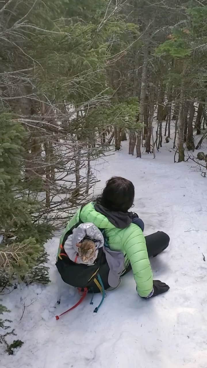 オボズのインスタグラム：「A spring hiking saga: we have all been there…  🥾 @adventureswithflokicat   #obozfootwear #truetothetrail #newhampshire #hikingtrails #hikingfootwear #hikingcat #mountainadventure #springtrails」