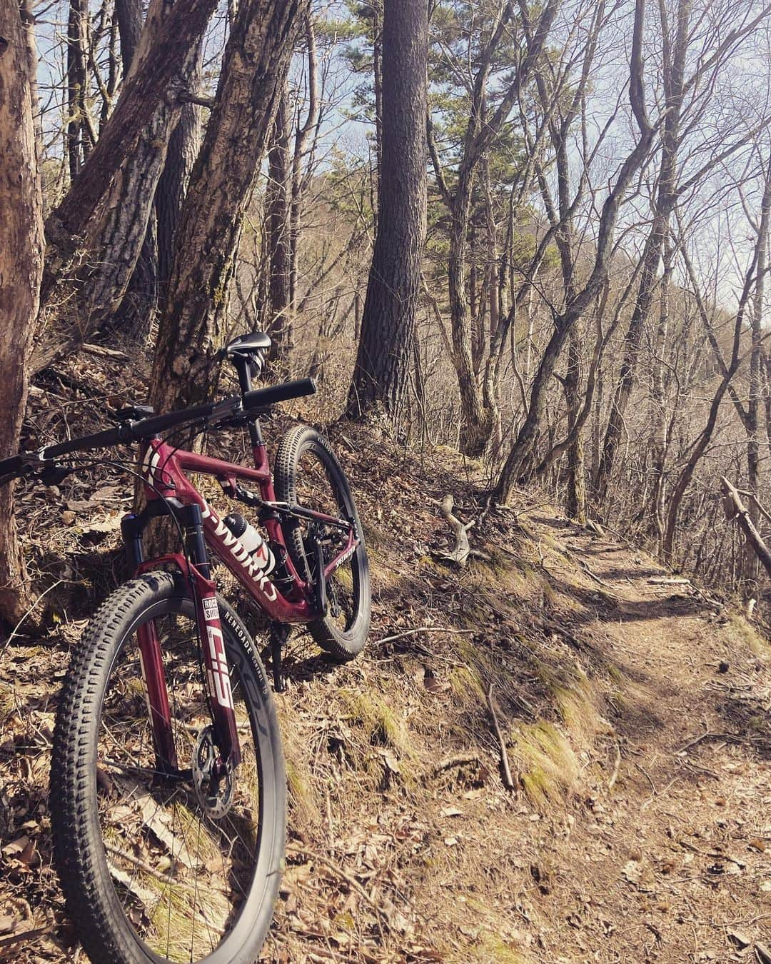 山本幸平のインスタグラム：「Nice spring trail ride! Freedom! @specialized_japan  @shimano_japan」