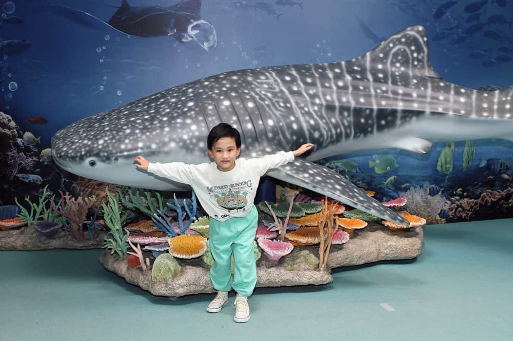 宮崎真梨子さんのインスタグラム写真 - (宮崎真梨子Instagram)「… #子連れで沖縄 🌺 だいぶ時差があるのですが、楽しかった思い出ふりかえり。 ∵ 何回目かな⁈大好きな美ら海水族館🐠今回はイルカショーも克服して、ちゃんと楽しめました♡  息子のポーズが可愛すぎて♡お気に入りの写真です♡ ∵ ∵ #沖縄旅行 #沖縄観光 #美ら海水族館」4月20日 17時49分 - miyamari92