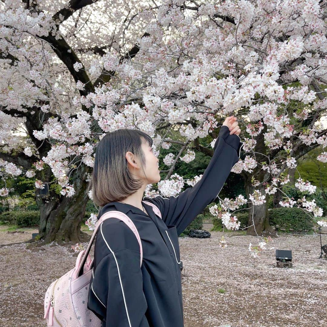 戸奈あゆみのインスタグラム：「2枚目の写真は4/1投稿の写真にいくまでの過程ですww 1枚目の儚げな感じで写真撮ってからの、いきなりすごいスピードで振り返ってピースしたので、友達が驚いてました🤣  #japanesegirl #japanese #girl #photography #portrait  #selfie  #被写体 #自撮り #自撮り女子  #自撮り界隈 #model #写真 #フリーモデル #ポートレート女子 #モデル #撮影モデル #大学院 #大学院生」