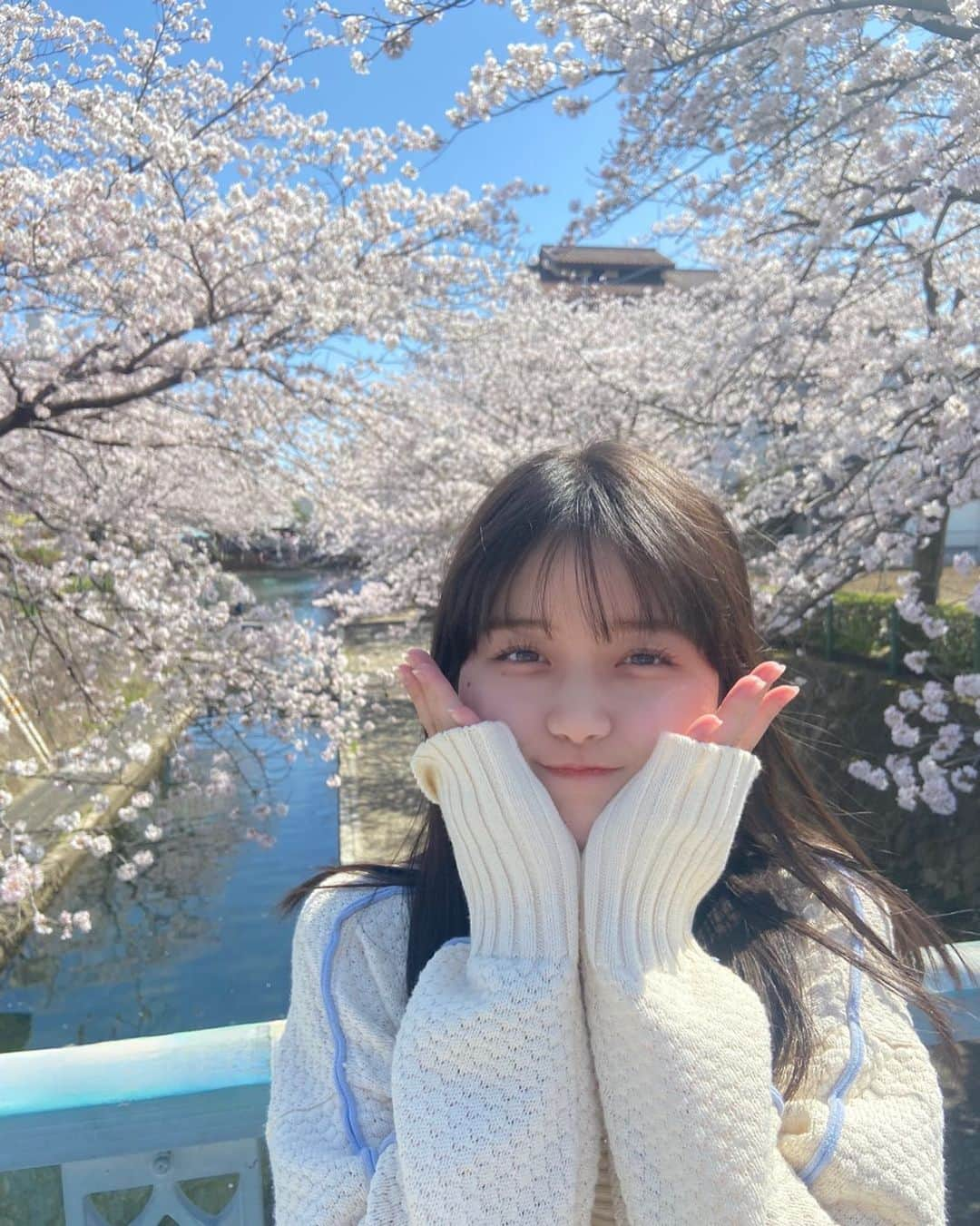 河村果歩さんのインスタグラム写真 - (河村果歩Instagram)「🌈🍒  今年も桜綺麗でしたねぇ🌸  今日トーク会参加してくれる方宜しくお願いします♡♡ 25日の受付はまだ進行中ですので良かったら是非私とお話ししましょ~💞  #河村果歩 #nicola #おはスタ #おはガール #かほっち #ニコラ #ニコモ #ニコラ4月号発売中 #SUPERGIRLS #スパガ #アイドル」4月20日 18時38分 - kawamura_kaho_official