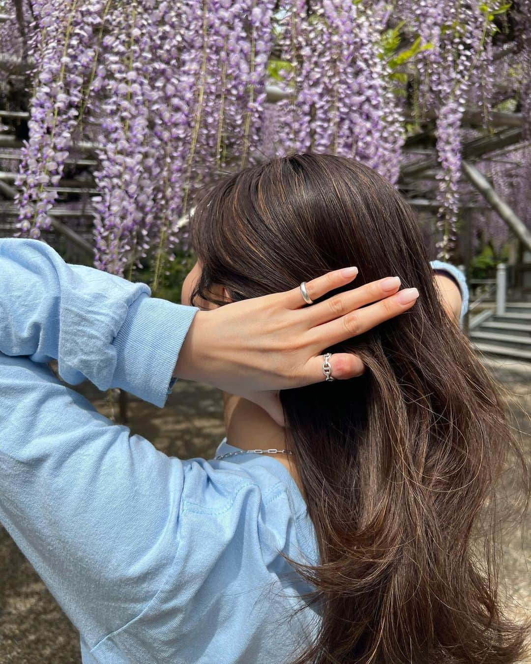 生駒幸恵さんのインスタグラム写真 - (生駒幸恵Instagram)「藤の花🪻  初めて、こんなに大きな藤の花をみに。 まだ８分咲きくらいだったけれど 感動ものでした🥺  人がいないっていうのがポイント💜🩵✨  写真たくさん撮ってもらって なかなか選べなかったのでたくさん載せます📷😚 私の多毛をご覧ください🤣  #藤の花 #藤 #伊東市 #林泉寺 #林泉寺の長藤 #天然記念物 #フジ #フジの花」4月20日 18時39分 - sachi_918