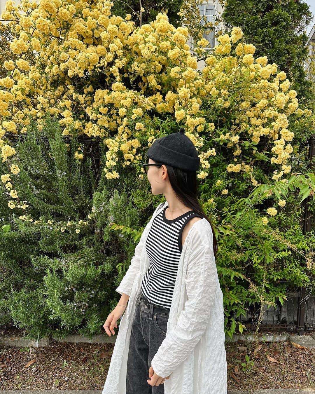 ちょびさんのインスタグラム写真 - (ちょびInstagram)「夏になると着たくなっちゃう @bonlecill_officialから新しく出たアメスリ🤍 これはカップ付きでほんっと着やすい今季のもの✌🏻🤍それでもってだいすきなボーダーね🌼 カップ部分も脇周りもしっかり密着してくれるけど、程よいゆとりもあっていい感じ！ インナーとしても使いやすいし、真夏はこれ一枚に麦わら帽子被ったりもしたい✨  #bonlecill#ボンルシール#新商品#カップ付きインナー#インナー#タンクトップ#タンクトップコーデ#アメスリ#ボーダートップス#ボーダータンク#サマーコーデ#zozotown」4月20日 18時39分 - kaoriririn15