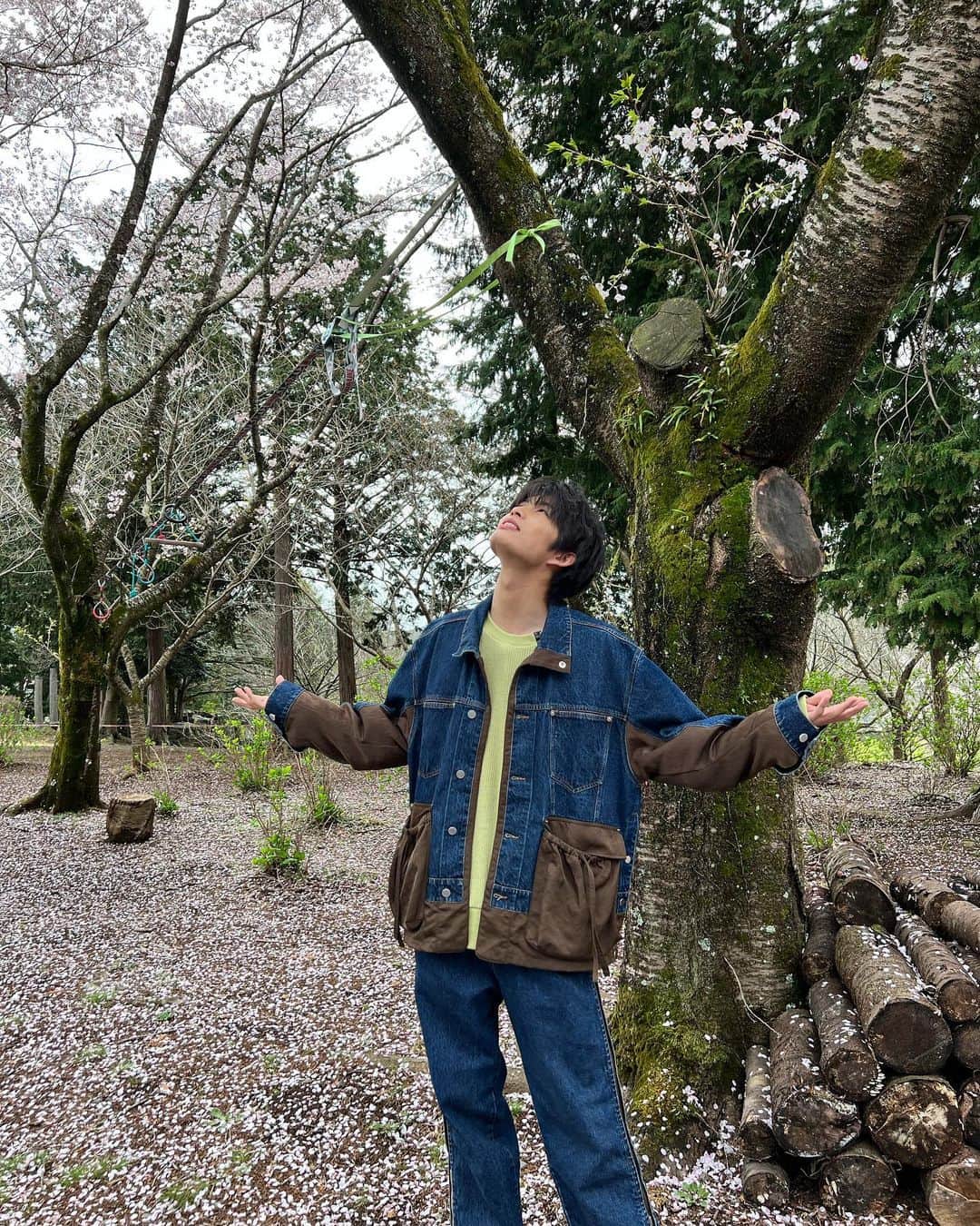 柊太朗のインスタグラム：「この日は綺麗な桜が心に染みたなぁ…  まだ見てない方は7話是非見てね！  近寄ってくるからスワイプしてみて💐🐺   #花束とオオカミちゃんには騙されない  #花束オオカミ   @wizzard_fac」