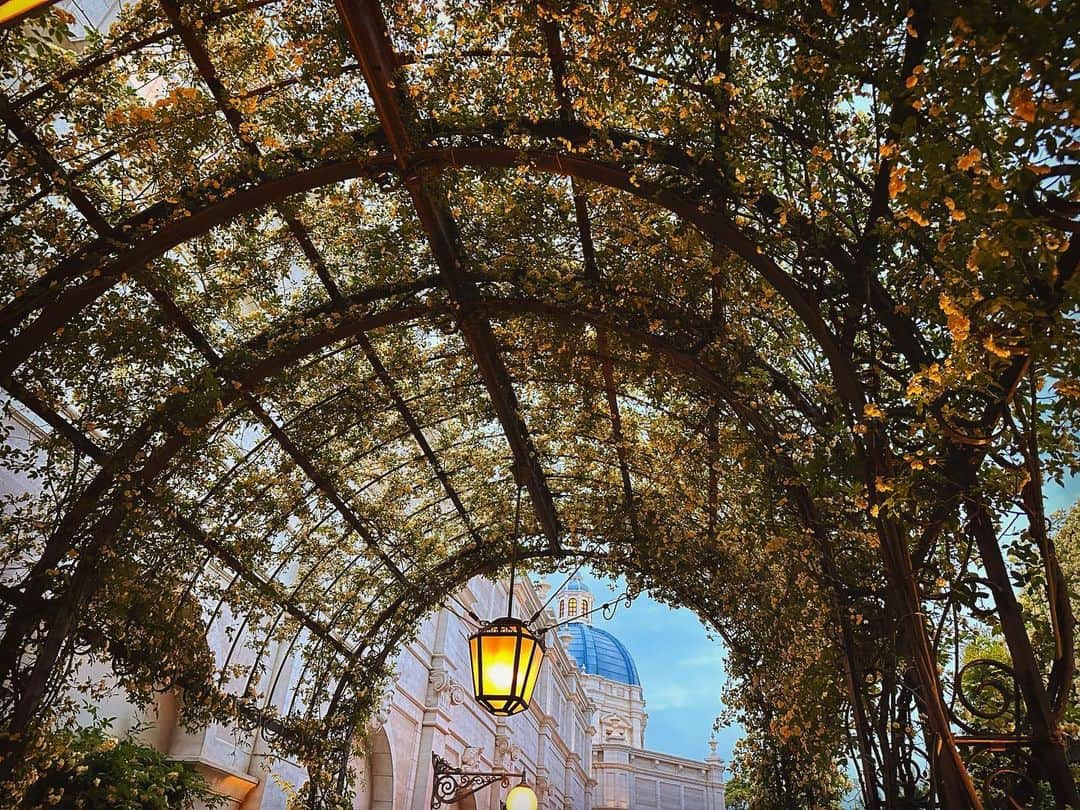 永島聖羅のインスタグラム：「🏰  #ディズニーシー #ソアリン」