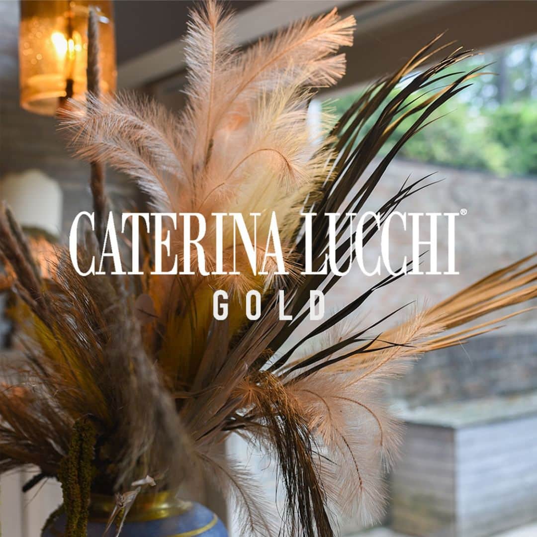 カテリーナ ルッキのインスタグラム