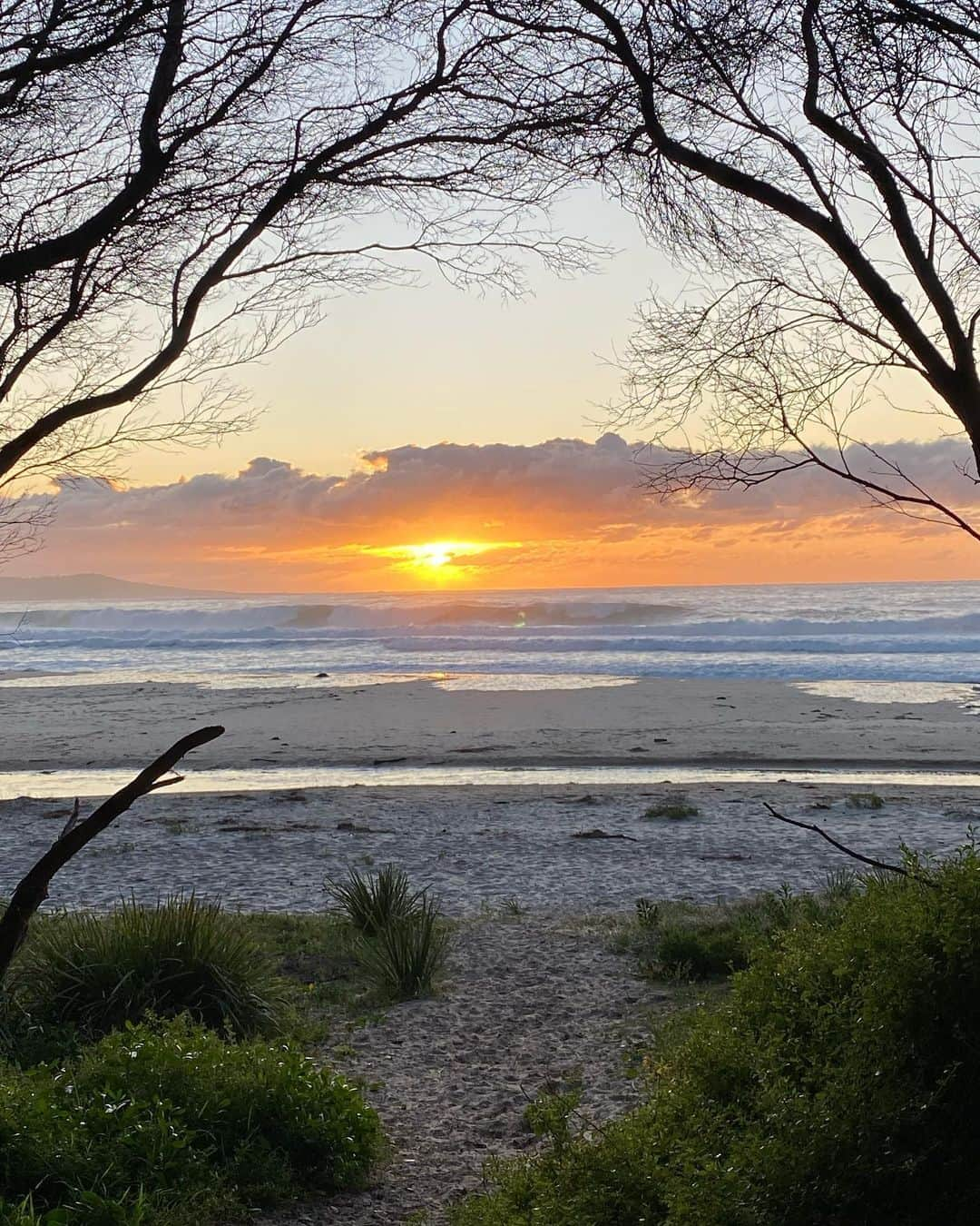 アダム・フェデリチさんのインスタグラム写真 - (アダム・フェデリチInstagram)「First camping trip ✅」4月20日 19時31分 - federici32